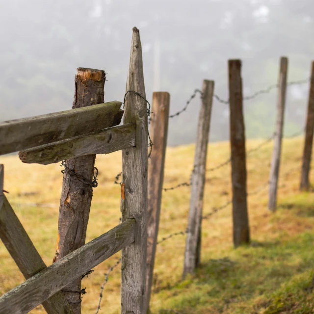 a row of wooden fences with the top of each fence made of wood