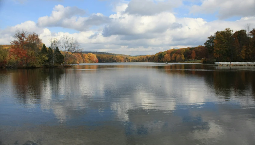 large body of water with trees in fall colors