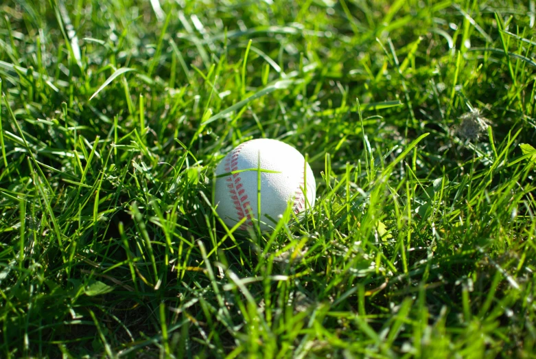 a ball sits in the grass in the daytime