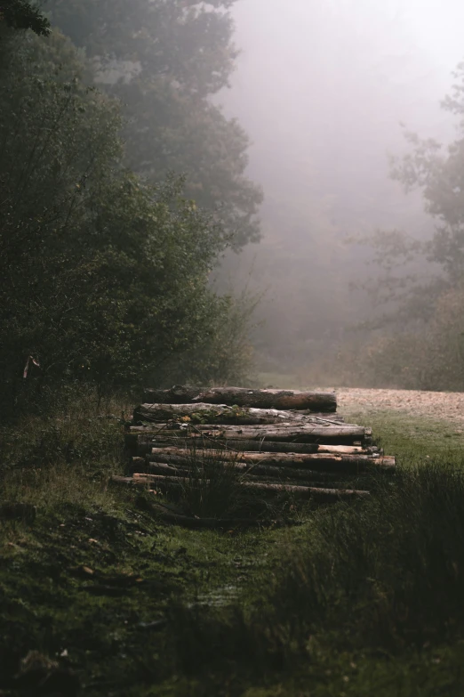 a bunch of logs stacked in the grass