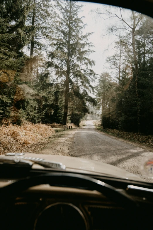 the dashboard view through the windshield looking at the road through the woods