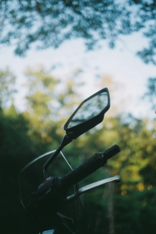 the rearview mirror on a motorcycle, with trees in the background