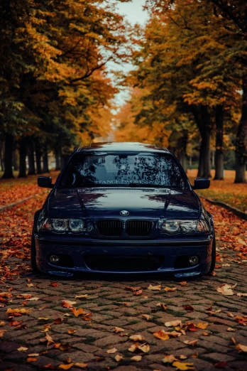the car parked on the side of a road covered with fallen leaves