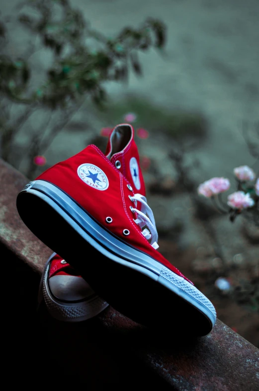 a red shoe on top of a brown piece of wood