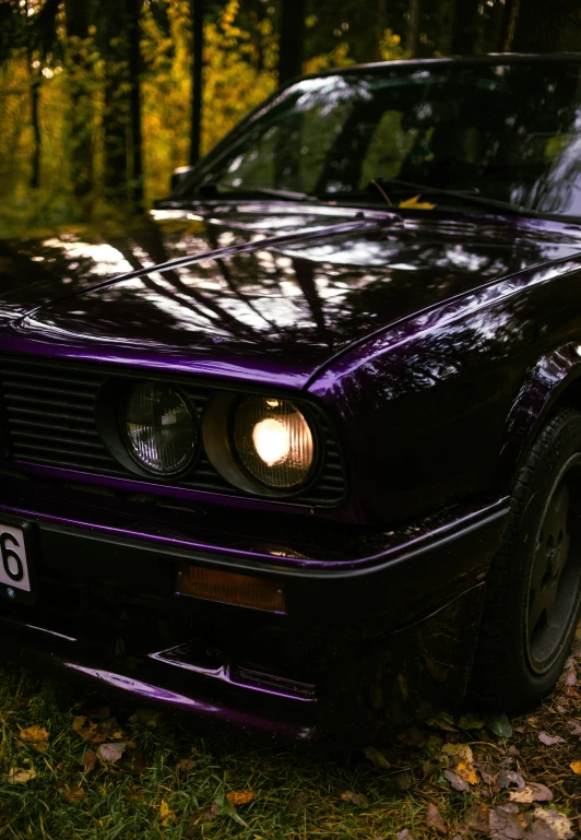 the front of a dark colored, automobile parked in leaves