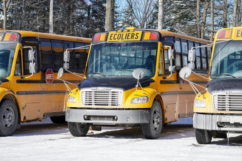 three school buses parked side by side on a snowy day