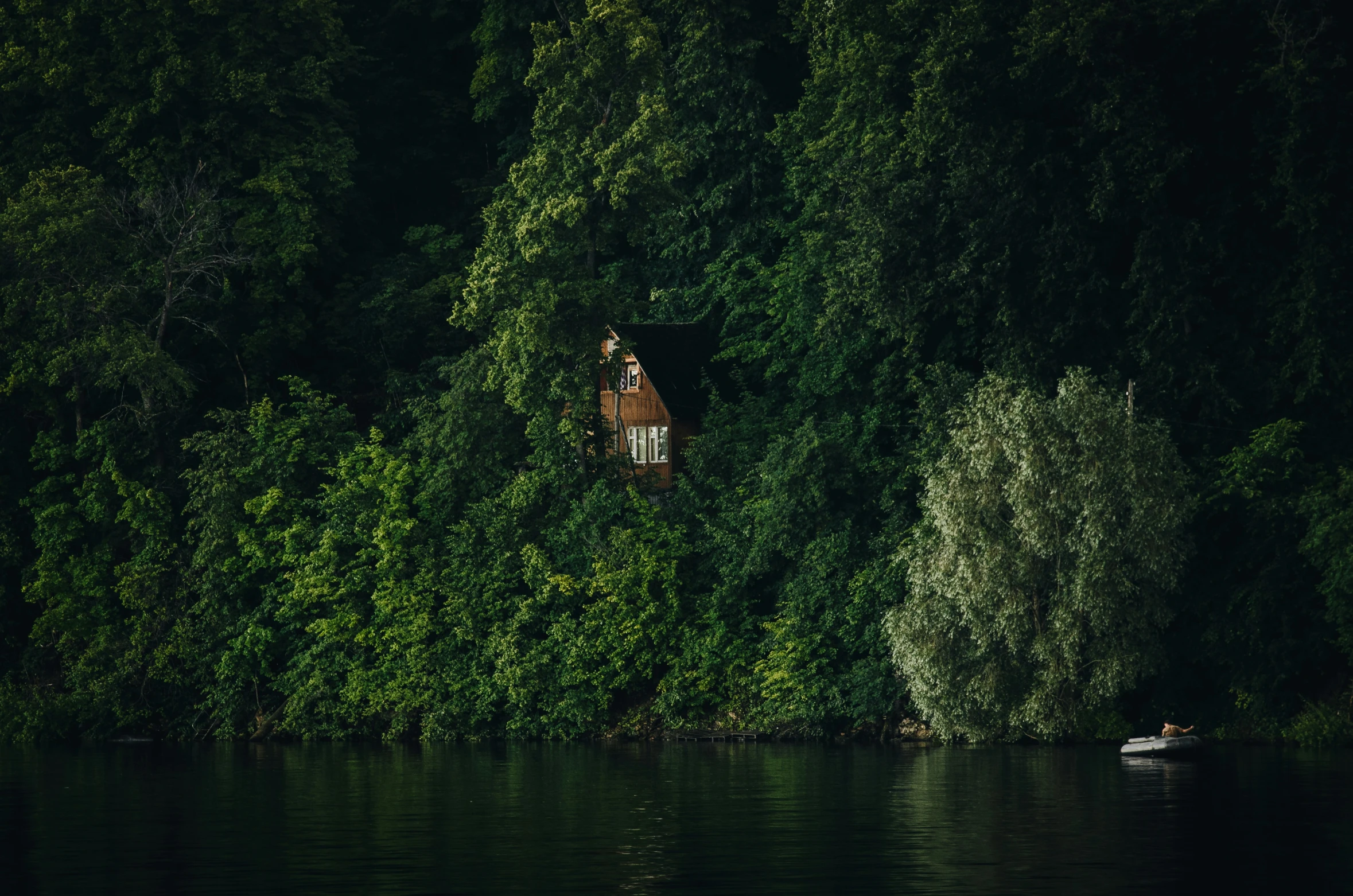 a dark forest with two people on a boat in the water