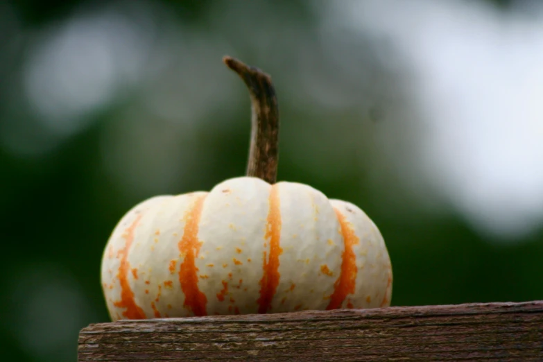 a white and orange striped pumpkin is placed on top of a wooden pole