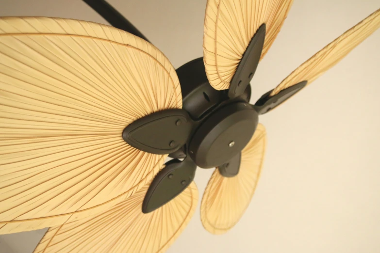 an overhead view of a ceiling fan with blades