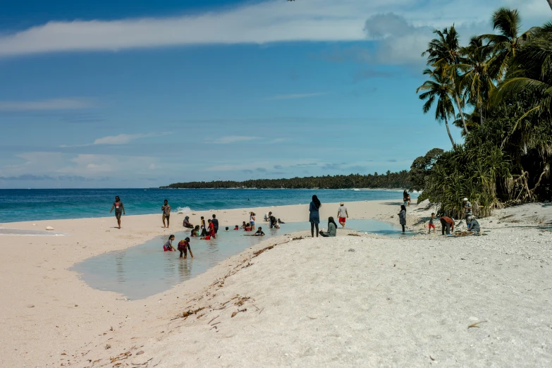 a beach with many people and two kites in the sky