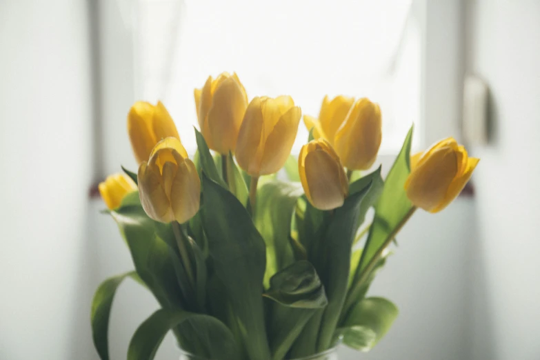 there is a vase of flowers with yellow tulips in it
