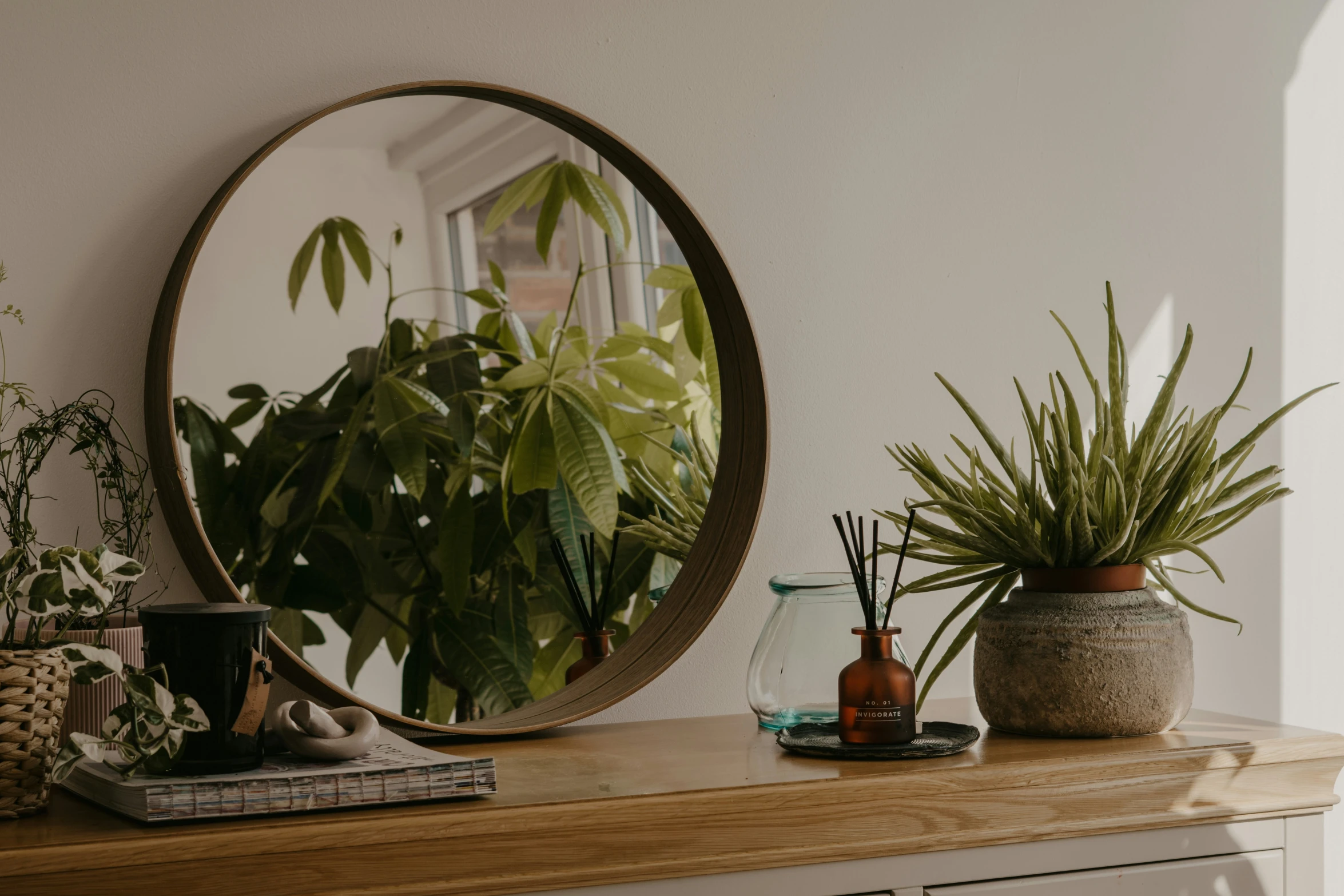 some plants and a potted plant on a mantle