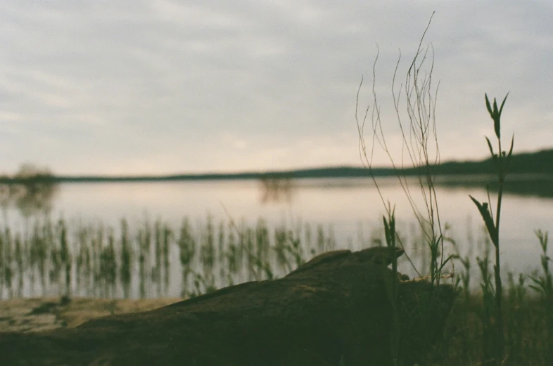 a po of a small body of water and land