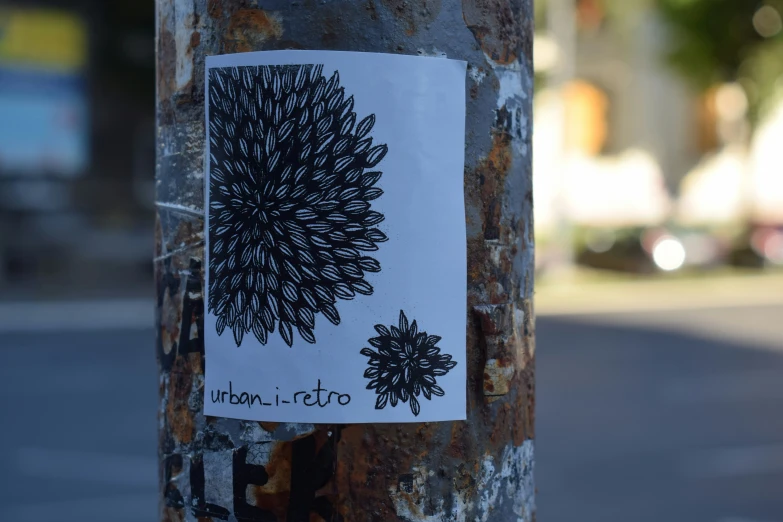sticker on an old tree on a city street