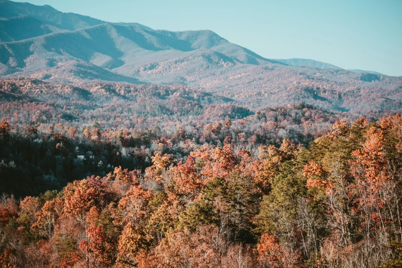 a landscape that includes mountains, and lots of trees