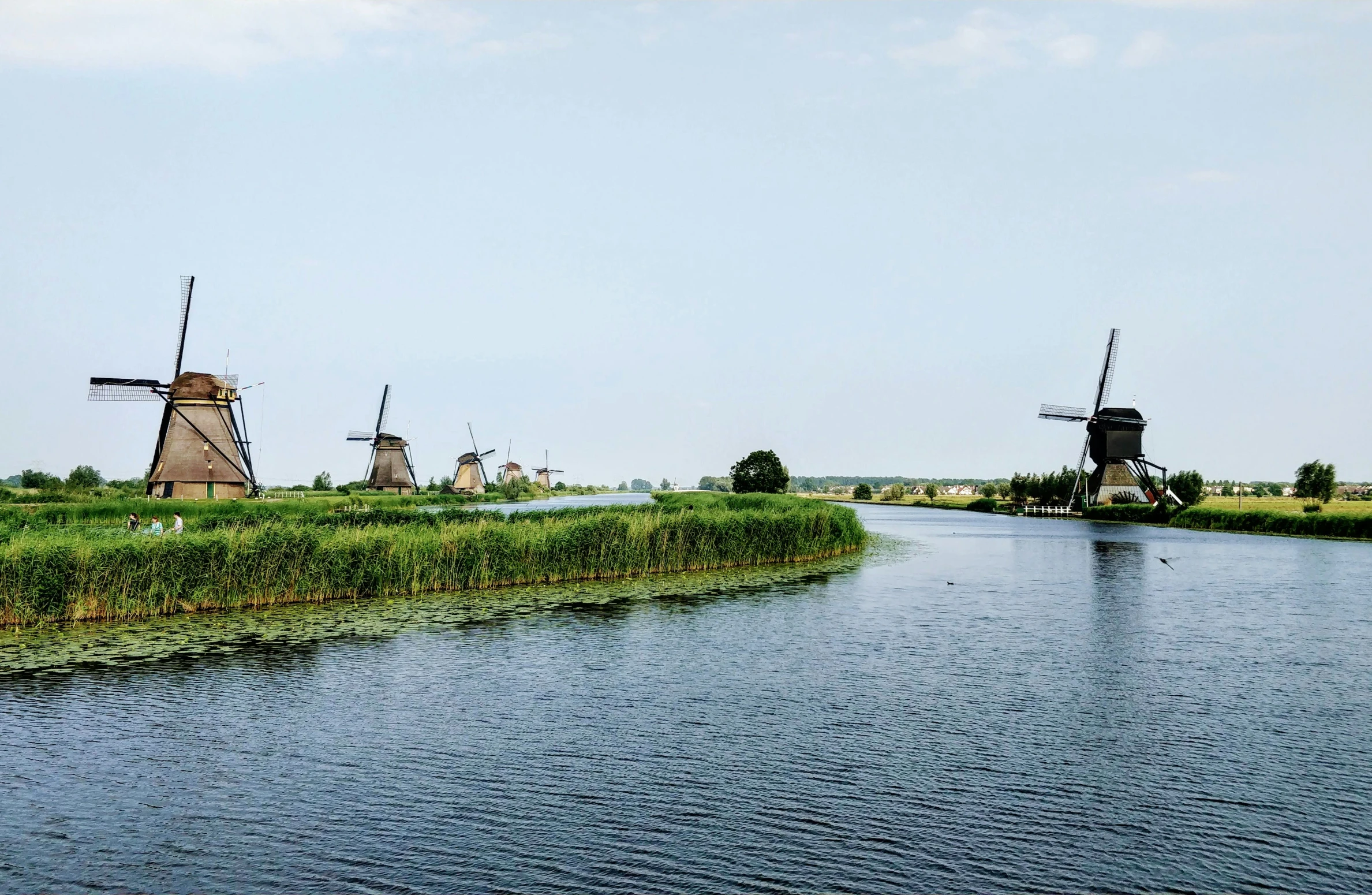 windmills are by the water in a rural area