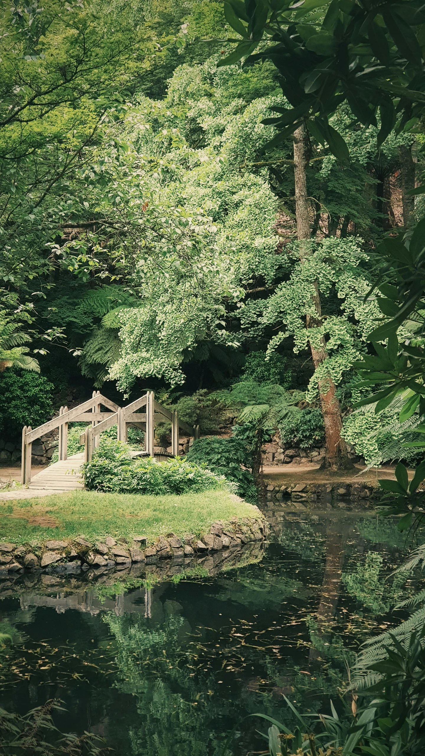 a small lake surrounded by trees and a bench