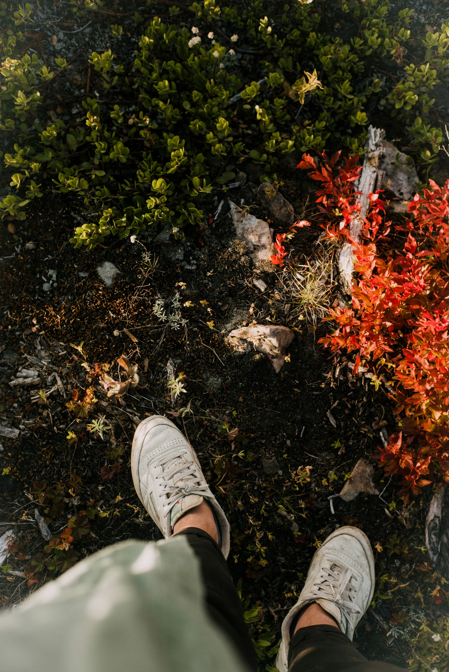 someone stands in a field with their feet propped up