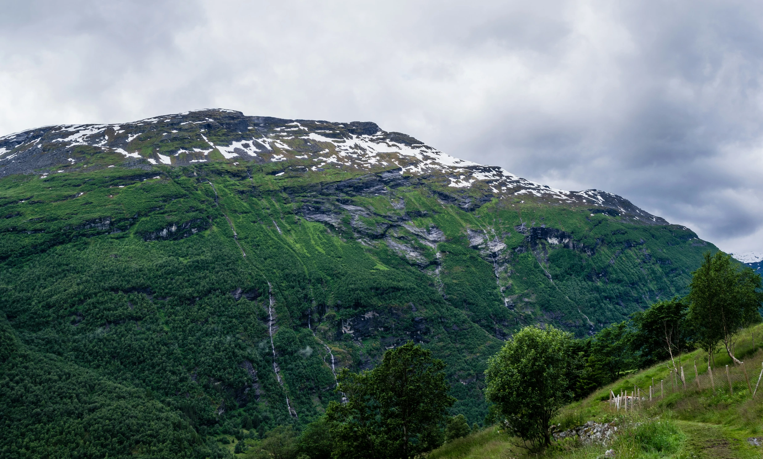 a group of horses grazing on the side of a mountain