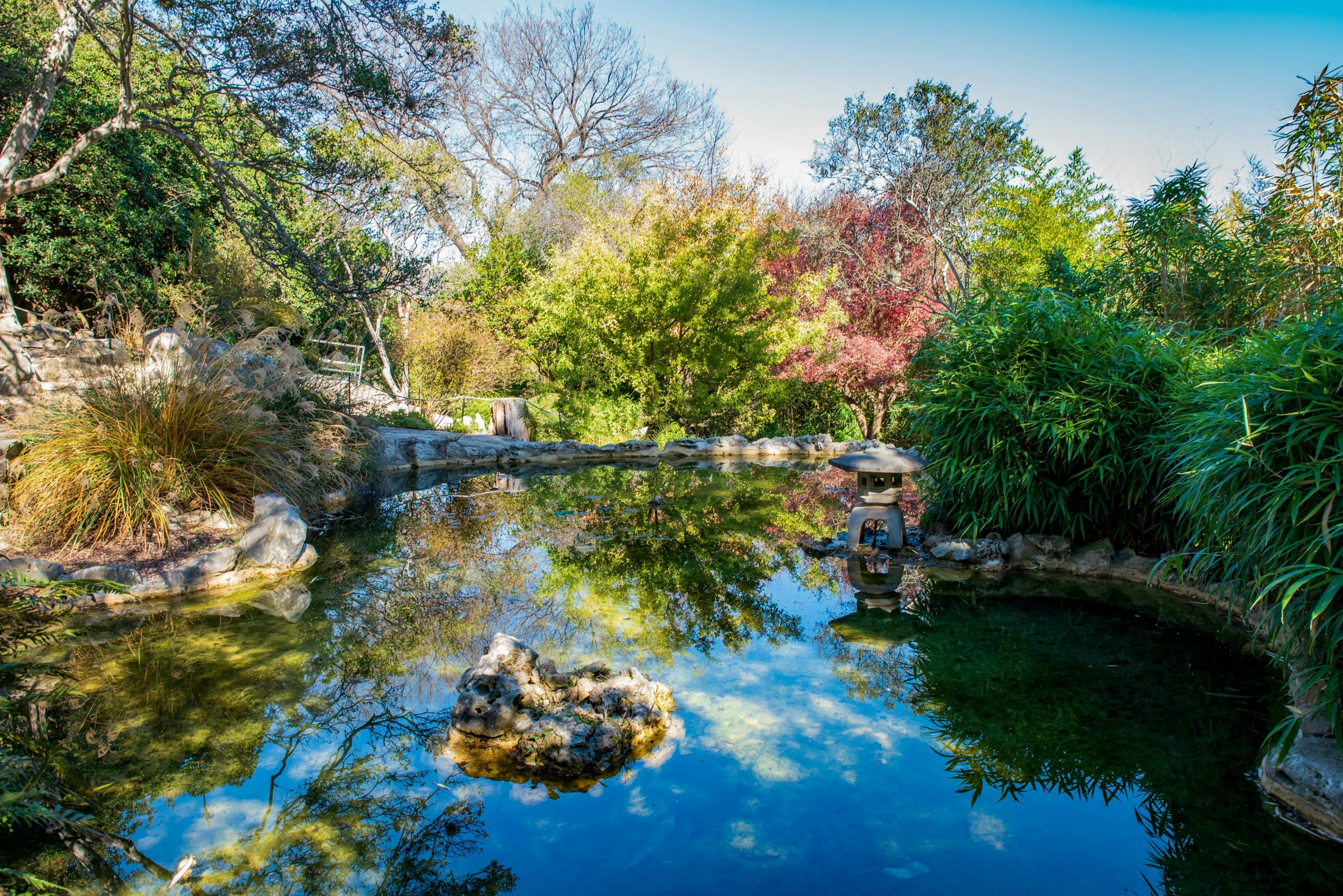 large pond in a secluded area with blue skies above