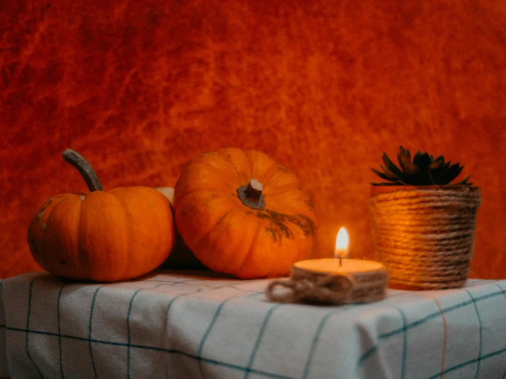 a couple of pumpkins are on a table