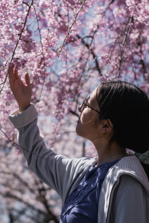 a woman is reaching up into a tree with a pink blossoming blossom