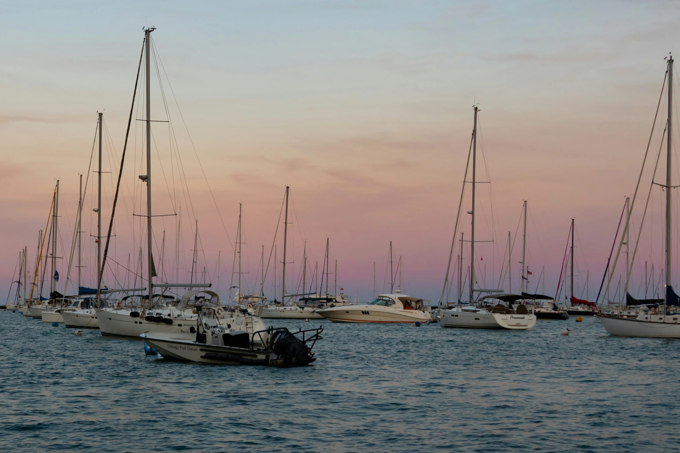 many sailboats floating in the sea on an evening