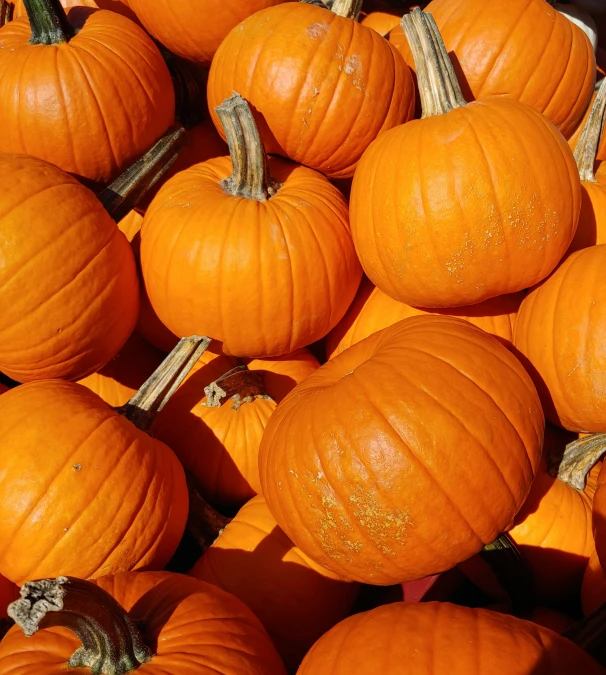 a bunch of orange pumpkins are stacked up