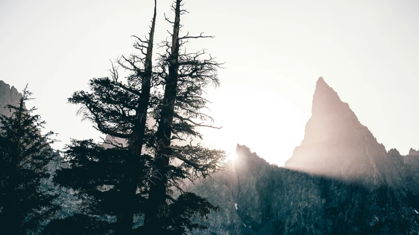 some trees and mountains with the sun peeking through it