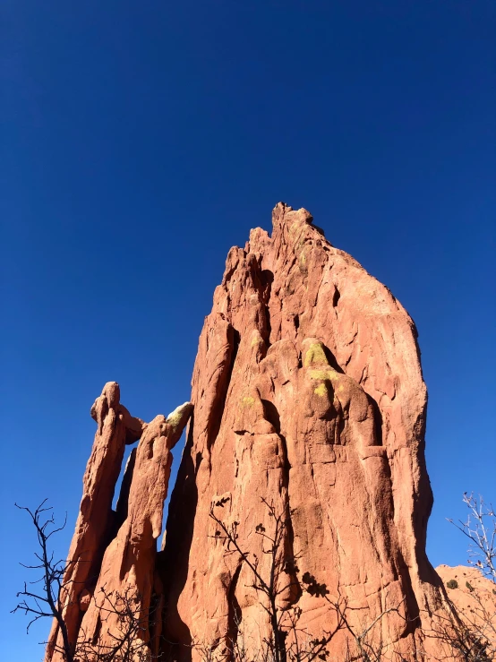 some large rocks and small bushes on the grass