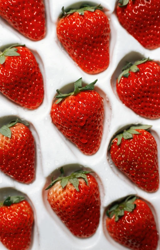 close up of the four strawberries on a white plate