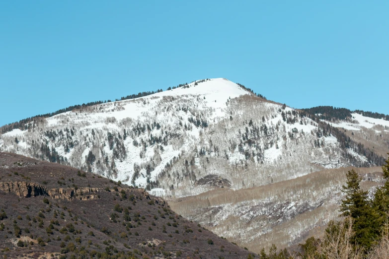 a large mountain covered in snow and trees