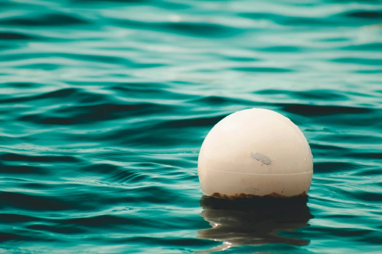 an egg sits in the middle of a body of water