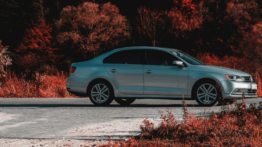 a parked car sitting in front of some bushes