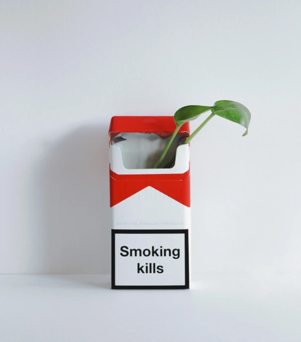 a cigarette pack with a green plant inside it