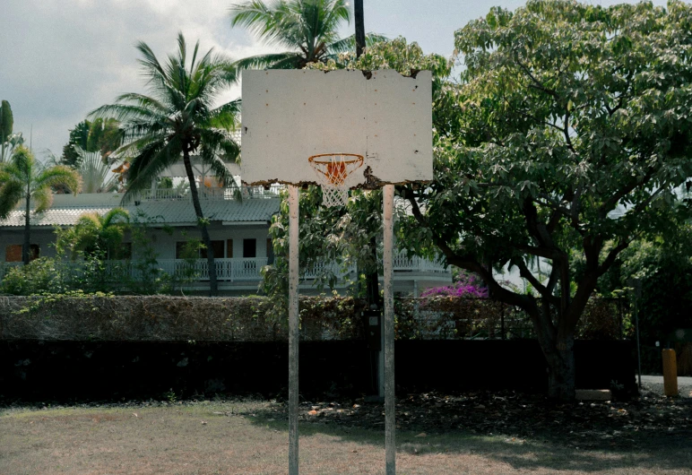 a basketball hoop hanging in front of palm trees