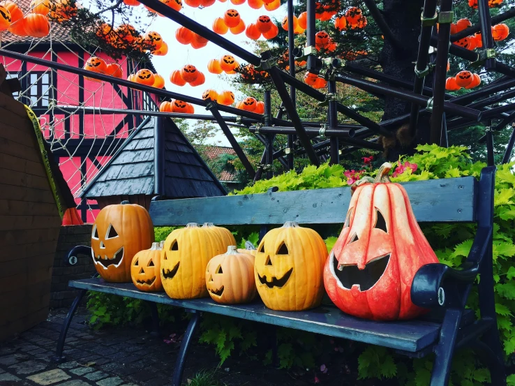 a long bench filled with carved pumpkins sitting next to plants