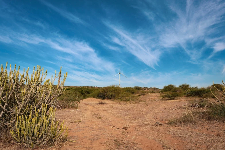 a dirt road through a desert with a green bush on the left and two windmills in the background