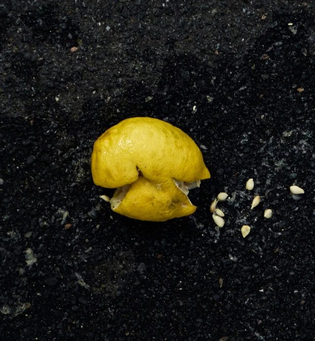 lemons that have been separated by pieces of black stuff