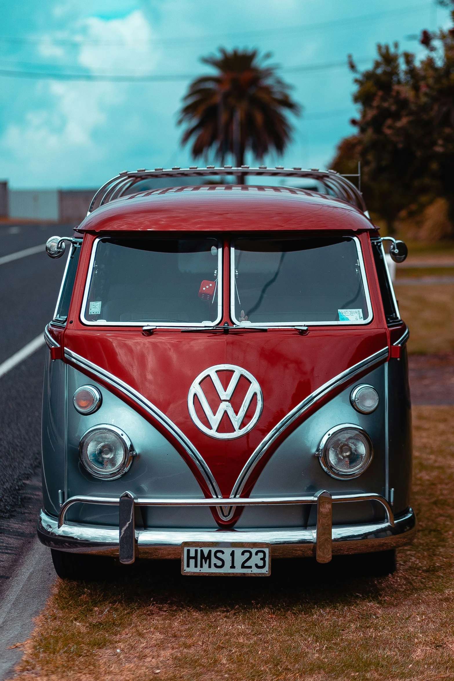 vw bus parked on a road with palm trees behind