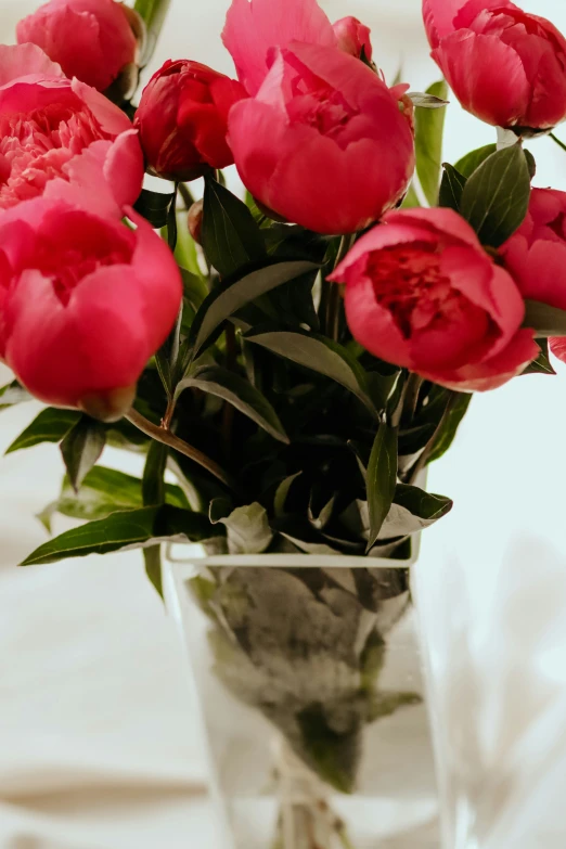 a small vase filled with red flowers sitting on top of a table