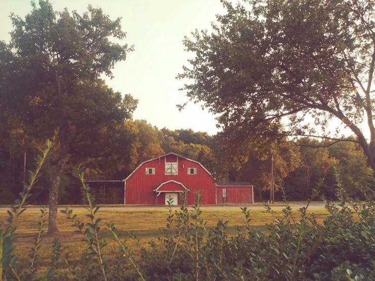 the red barn is located next to a forest