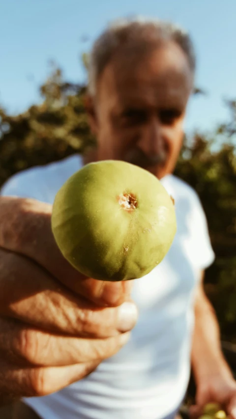 a person holds an apple up to the camera