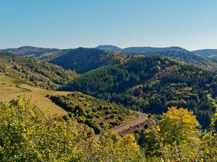 green hills with a winding road and bushes around them