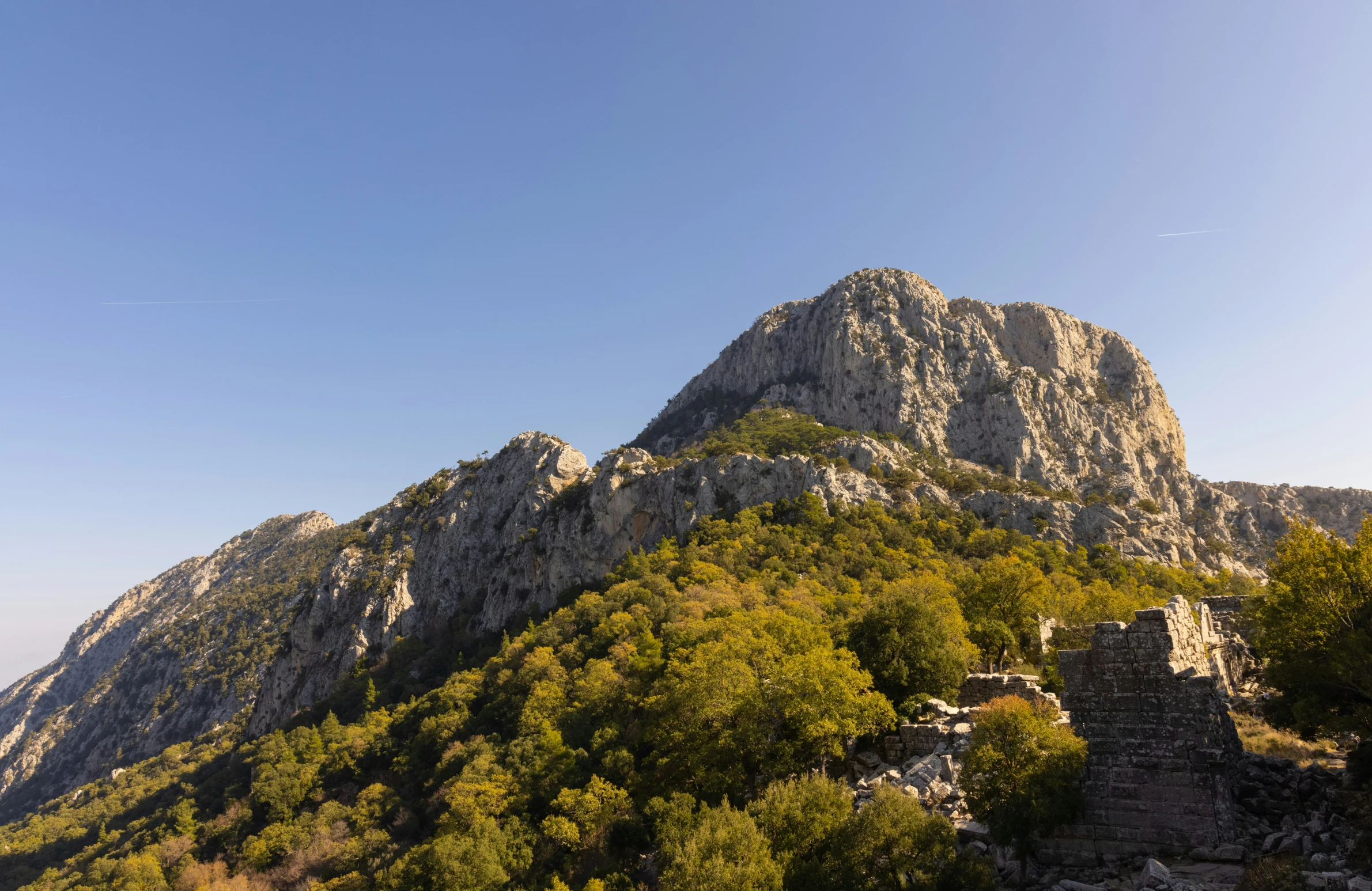 an image of a rocky cliff surrounded by trees