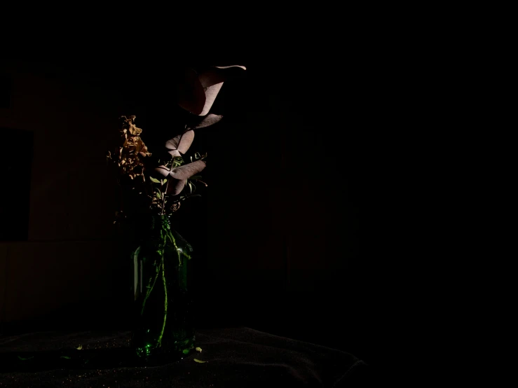 a glass vase with flowers and some lights on