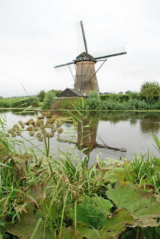 a windmill in a body of water and tall grass