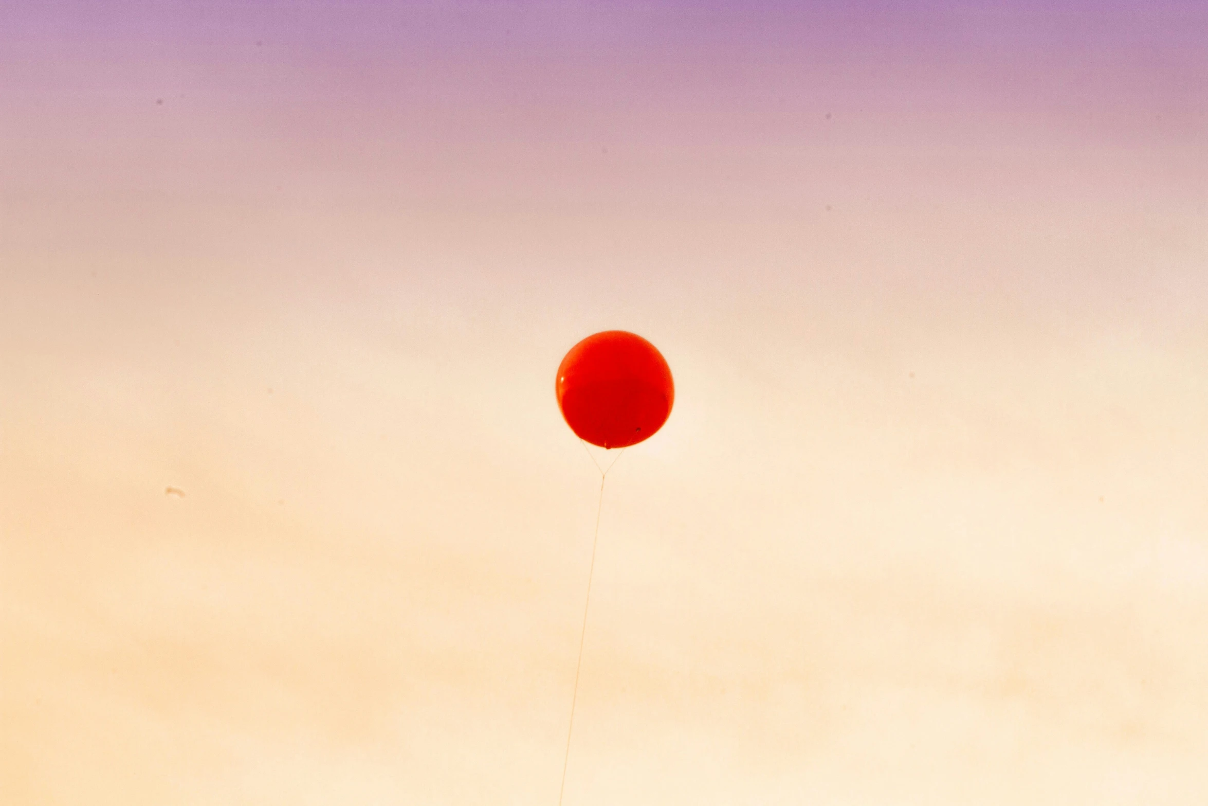 a person stands in the grass flying a kite