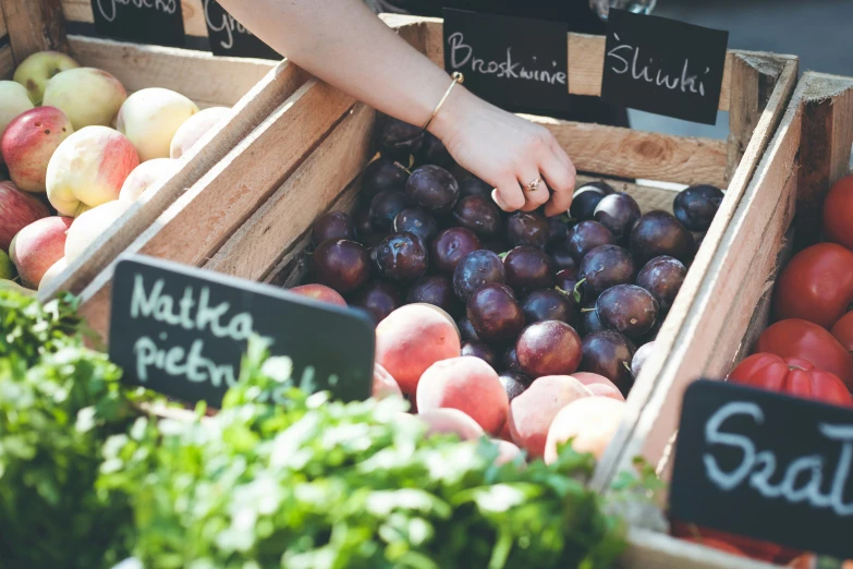 fresh fruits and vegetables on display at the farmer's market