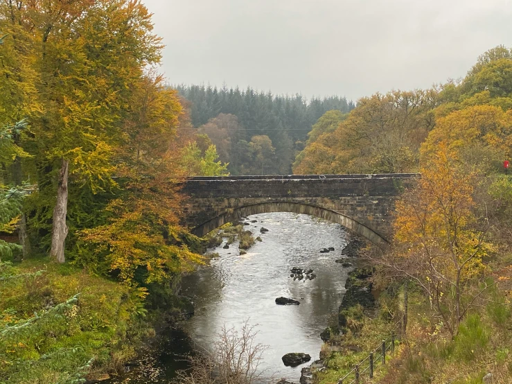 the train crosses over the bridge over the water